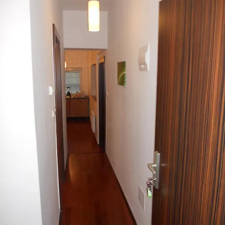 Apartment Guba Center